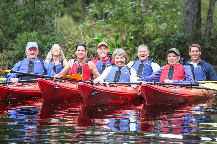Guidet kajaktur på Lofton Creek, Florida, med observation af dyreliv og unikke økosystemer, foto 6 | wizardtrip