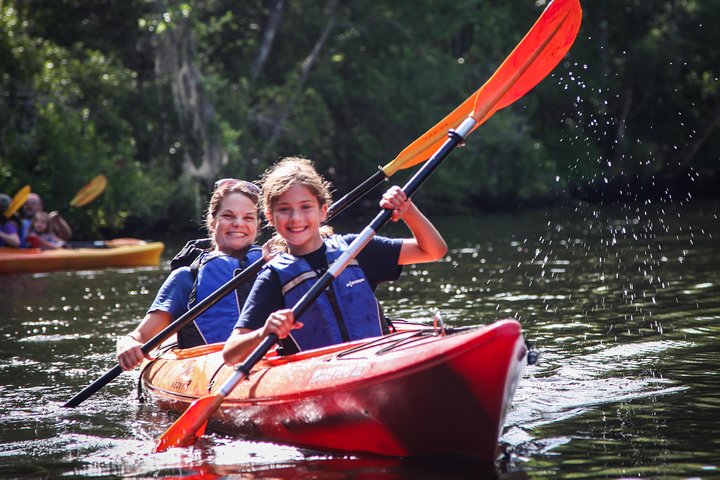 Guidet kajaktur på Lofton Creek, Florida, med observation af dyreliv og unikke økosystemer, foto 8 | wizardtrip