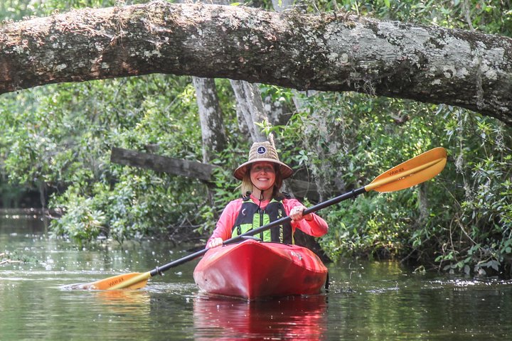 Guidet kajaktur på Lofton Creek, Florida, med observation af dyreliv og unikke økosystemer, foto 9 | wizardtrip