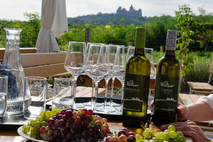 Tour du vin à la campagne près de Vienne avec repas et transfert | wizardtrip