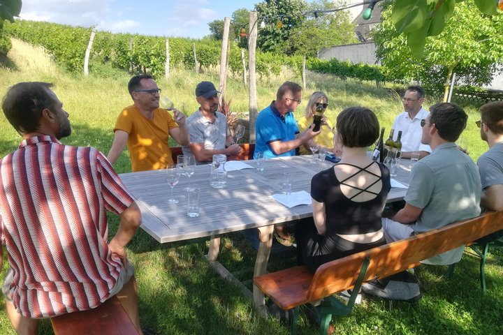 Geniet van een wijn tour op het Oostenrijkse platteland nabij Wenen, met wijngaarden en lokale proeverijen, foto 10 | wizardtrip