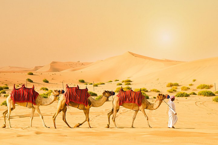 Ervaar een woestijnsafari in Abu Dhabi met dune bashing, kamelenritten en traditioneel entertainment, foto 15 | wizardtrip