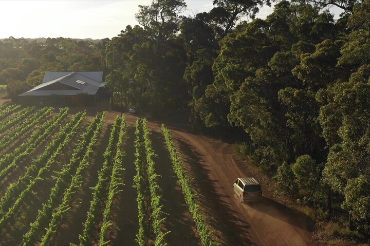 Full day tour exploring Margaret River's hidden gems, including wine tasting, local food, and animal encounters, photo 7 | wizardtrip