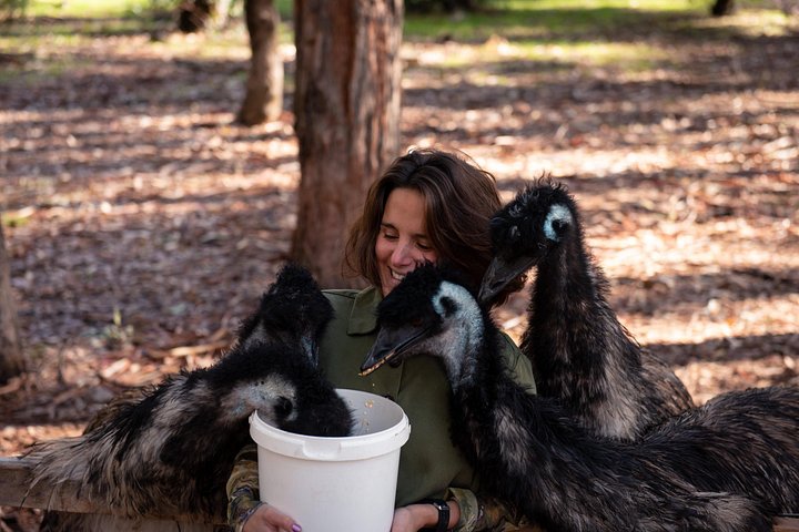 Full day tour exploring Margaret River's hidden gems, including wine tasting, local food, and animal encounters, photo 8 | wizardtrip