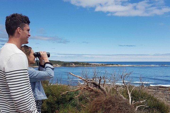 Full day tour exploring Margaret River's hidden gems, including wine tasting, local food, and animal encounters, photo 9 | wizardtrip