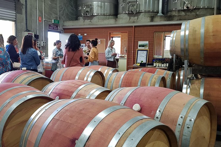 Full day tour exploring Margaret River's hidden gems, including wine tasting, local food, and animal encounters, photo 10 | wizardtrip