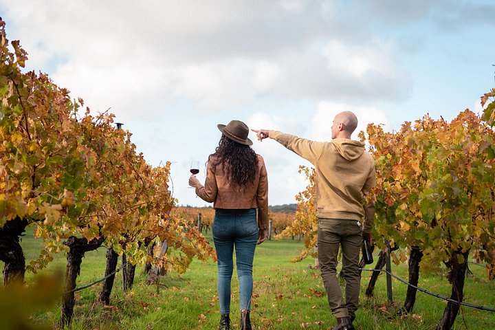 Full day tour exploring Margaret River's hidden gems, including wine tasting, local food, and animal encounters, photo 15 | wizardtrip