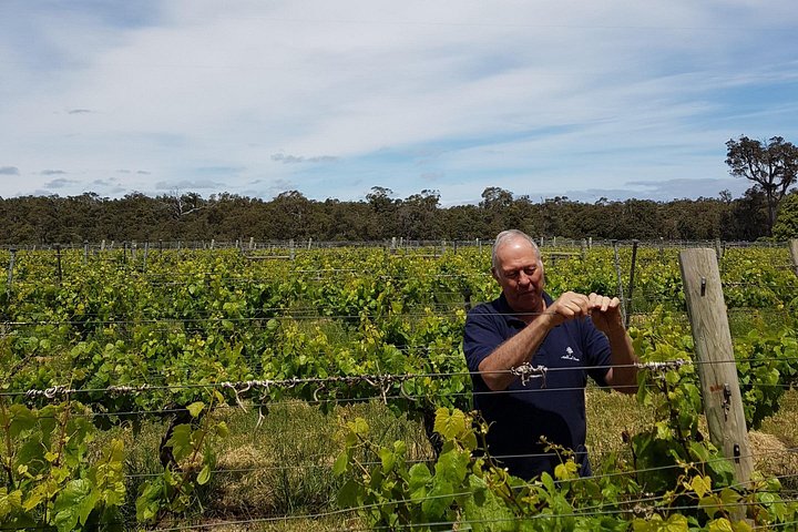 Full day tour exploring Margaret River's hidden gems, including wine tasting, local food, and animal encounters, photo 22 | wizardtrip