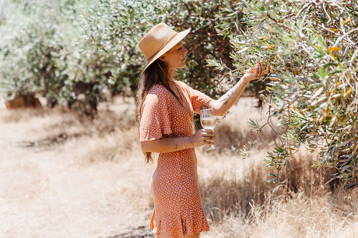 Full day tour exploring Margaret River's hidden gems, including wine tasting, local food, and animal encounters, photo 23 | wizardtrip
