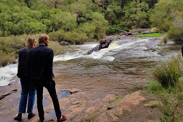Full day tour exploring Margaret River's hidden gems, including wine tasting, local food, and animal encounters, photo 25 | wizardtrip