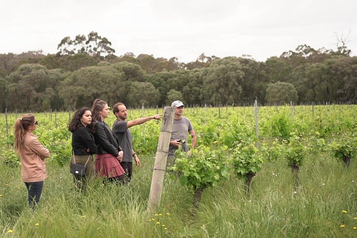 Full day tour exploring Margaret River's hidden gems, including wine tasting, local food, and animal encounters, photo 27 | wizardtrip