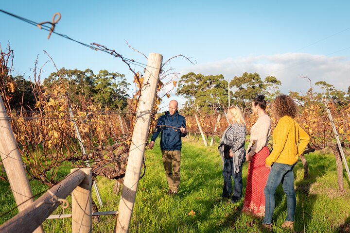 Full day tour exploring Margaret River's hidden gems, including wine tasting, local food, and animal encounters, photo 30 | wizardtrip