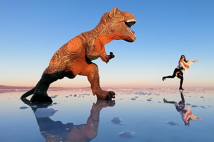 Explore the vast Uyuni Salt Flats, witness the mirror effect, and marvel at giant cacti on Incawasi Island, photo 10 | wizardtrip