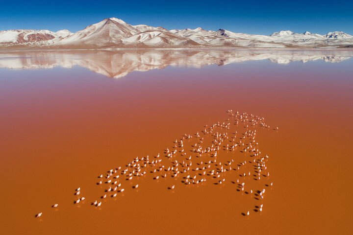3 jours dans le Salar d'Uyuni et les Lagunes Colorées +Coucher de soleil+Effet miroir | wizardtrip
