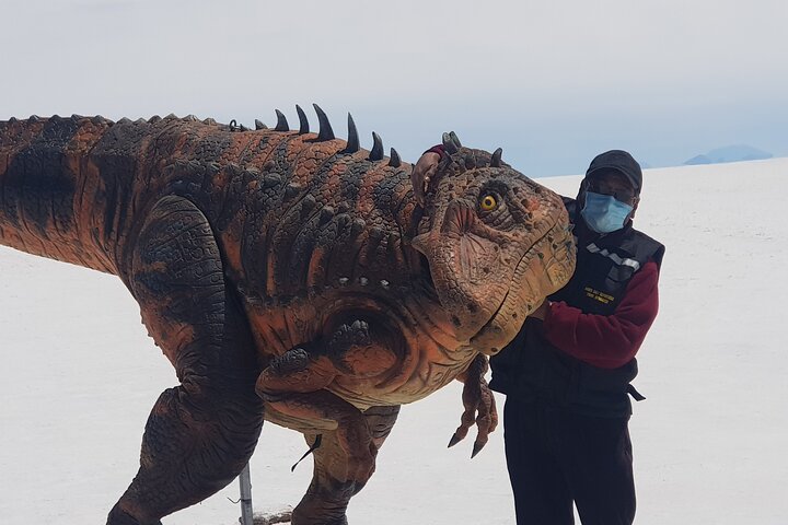 Explorez le vaste Salar d'Uyuni, les lagunes colorées et les paysages volcaniques lors d'une aventure bolivienne de 3 jours, photo 12 | wizardtrip