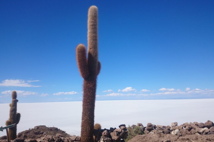 Explorez le vaste Salar d'Uyuni, les lagunes colorées et les paysages volcaniques lors d'une aventure bolivienne de 3 jours, photo 15 | wizardtrip