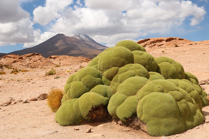 Explorez le vaste Salar d'Uyuni, les lagunes colorées et les paysages volcaniques lors d'une aventure bolivienne de 3 jours, photo 22 | wizardtrip