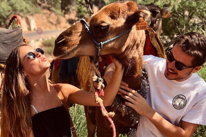 Excursion d'une journée complète au départ de Marrakech vers les Monts Atlas, les villages berbères, le désert d'Agafay avec balade à dos de dromadaire, photo 8 | wizardtrip