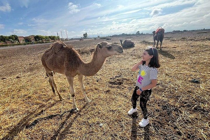 Excursion d'une journée complète au départ de Marrakech vers les Monts Atlas, les villages berbères, le désert d'Agafay avec balade à dos de dromadaire, photo 15 | wizardtrip