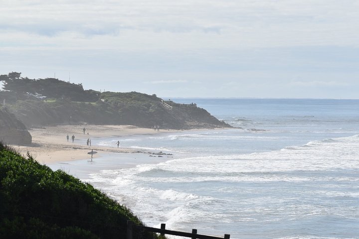 Natursköna vyer över Great Ocean Road, koalor och 12 Apostles på en heldagstur från Melbourne, foto 8 | wizardtrip