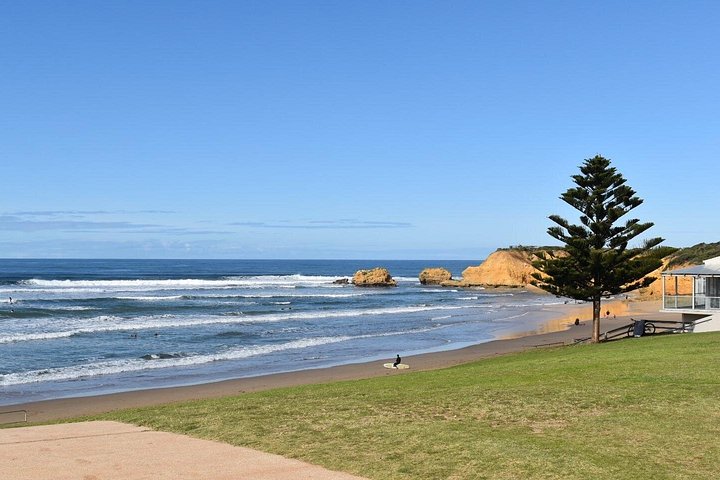 Natursköna vyer över Great Ocean Road, koalor och 12 Apostles på en heldagstur från Melbourne, foto 9 | wizardtrip
