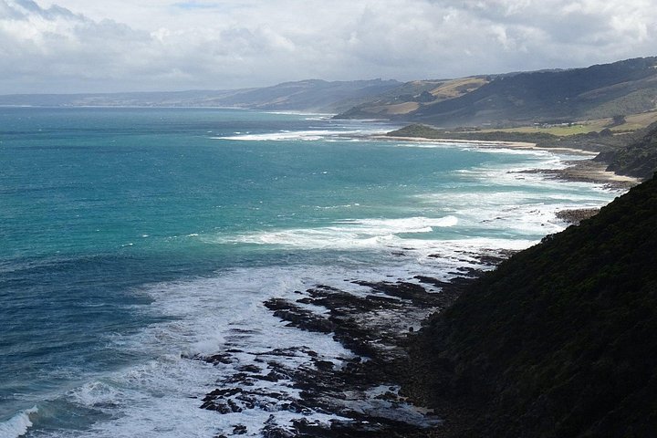 Natursköna vyer över Great Ocean Road, koalor och 12 Apostles på en heldagstur från Melbourne, foto 14 | wizardtrip