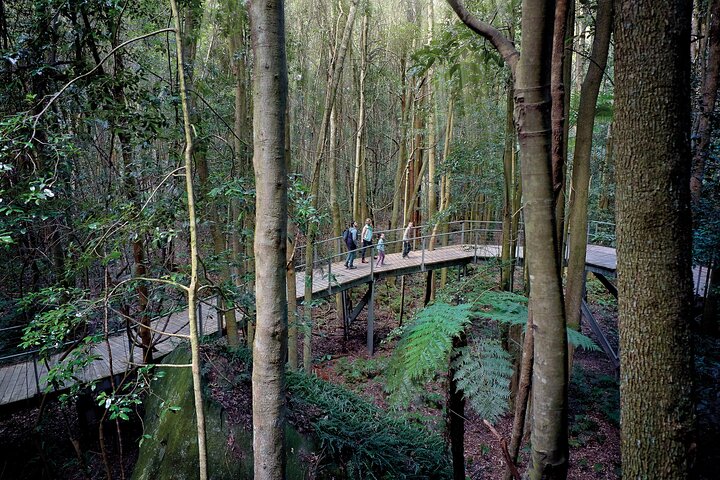 Blue Mountains Adventure with Scenic World, Zoo, Koala Photo & Ferry | wizardtrip