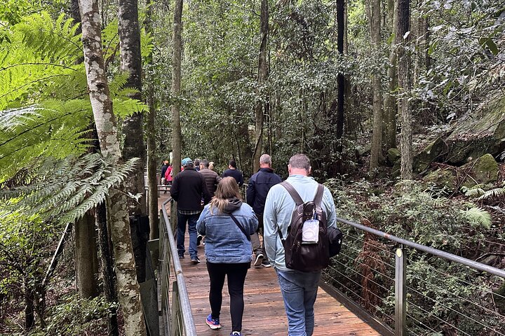 Scenic views of the Blue Mountains, Australian wildlife, and Sydney Harbour, photo 14 | wizardtrip