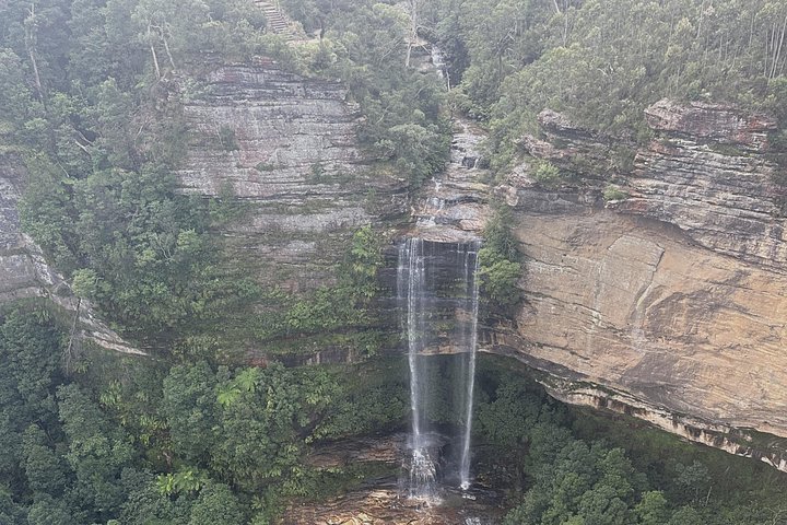 Scenic views of the Blue Mountains, Australian wildlife, and Sydney Harbour, photo 15 | wizardtrip