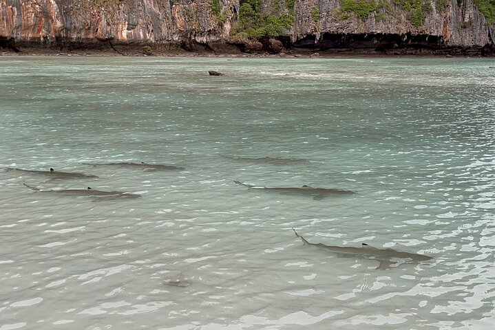 Speedboottour naar Phi Phi en 4 eilanden vanuit Krabi, Thailand, met prachtige stranden en snorkelmogelijkheden, foto 9 | wizardtrip