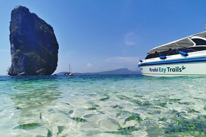 Speedboottour naar Phi Phi en 4 eilanden vanuit Krabi, Thailand, met prachtige stranden en snorkelmogelijkheden, foto 20 | wizardtrip