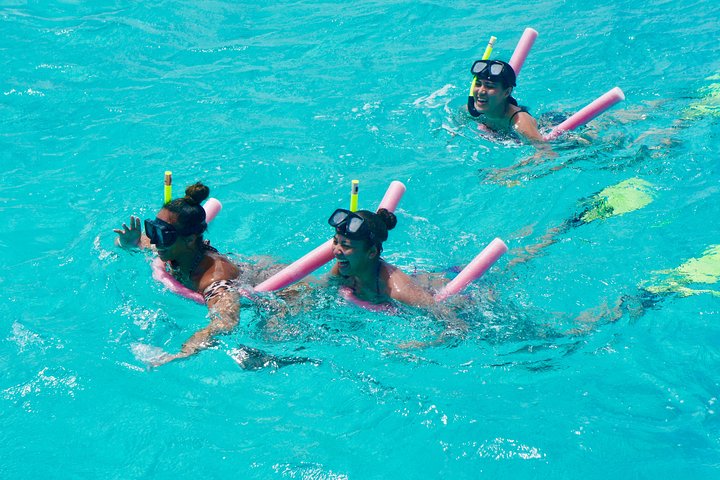 Crociera in catamarano ad Anguilla per nuotare con le tartarughe, fare snorkeling e rilassarsi in spiaggia, foto 15 | wizardtrip