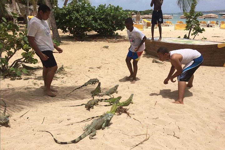 Excursion en bateau à Saint-Martin avec baignade, snorkeling et island hopping, photo 12 | wizardtrip