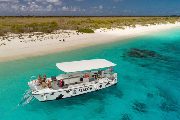 Geführte Schnorcheltour auf Bonaire mit Meeresleben und Snacks, Foto 2 | wizardtrip