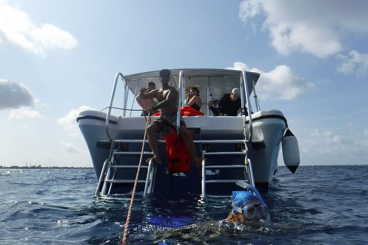 Geführte Schnorcheltour auf Bonaire mit Meeresleben und Snacks, Foto 3 | wizardtrip