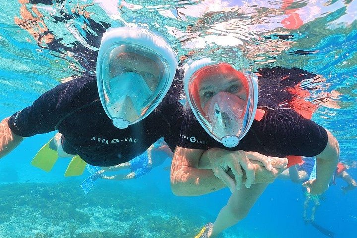 Geführte Schnorcheltour auf Bonaire mit Meeresleben und Snacks, Foto 4 | wizardtrip