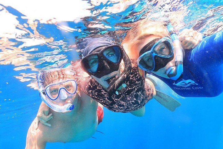 Geführte Schnorcheltour auf Bonaire mit Meeresleben und Snacks, Foto 5 | wizardtrip