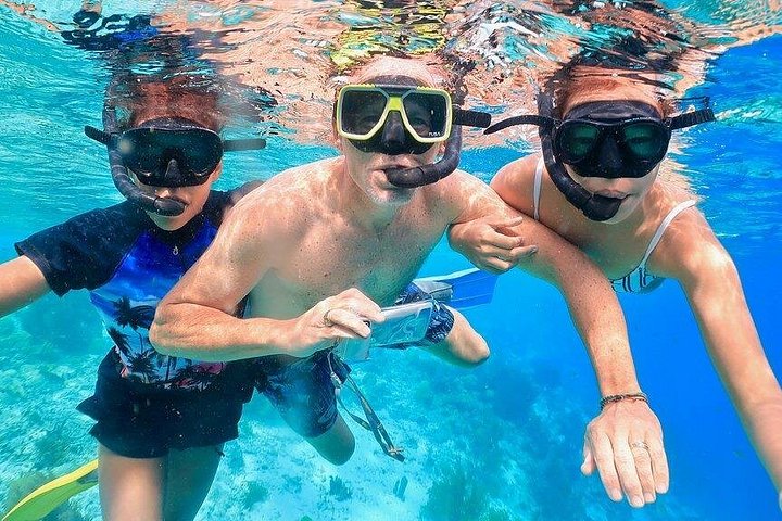 Geführte Schnorcheltour auf Bonaire mit Meeresleben und Snacks, Foto 6 | wizardtrip