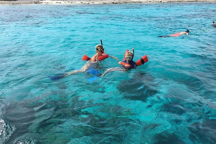 Geführte Schnorcheltour auf Bonaire mit Meeresleben und Snacks, Foto 7 | wizardtrip