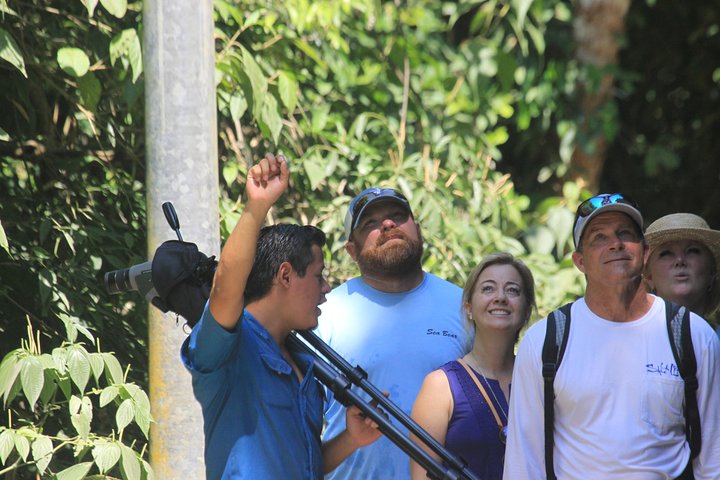 Tour guiado no Parque Nacional Manuel Antonio, Costa Rica, avistando vida selvagem e desfrutando das praias, foto 8 | wizardtrip