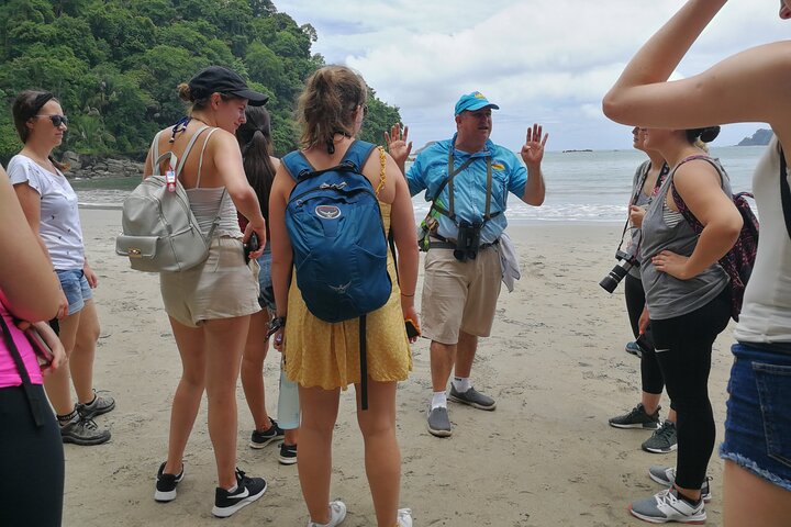 Tour guiado no Parque Nacional Manuel Antonio, Costa Rica, avistando vida selvagem e desfrutando das praias, foto 13 | wizardtrip