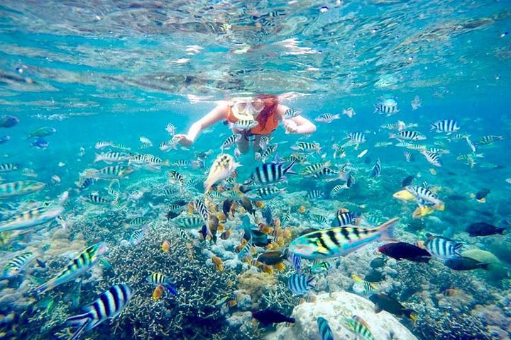 Privates Schnorchel-Abenteuer in Nusa Penida, Indonesien, mit Mantarochen, Schildkröten und atemberaubenden Stränden, Foto 12 | wizardtrip