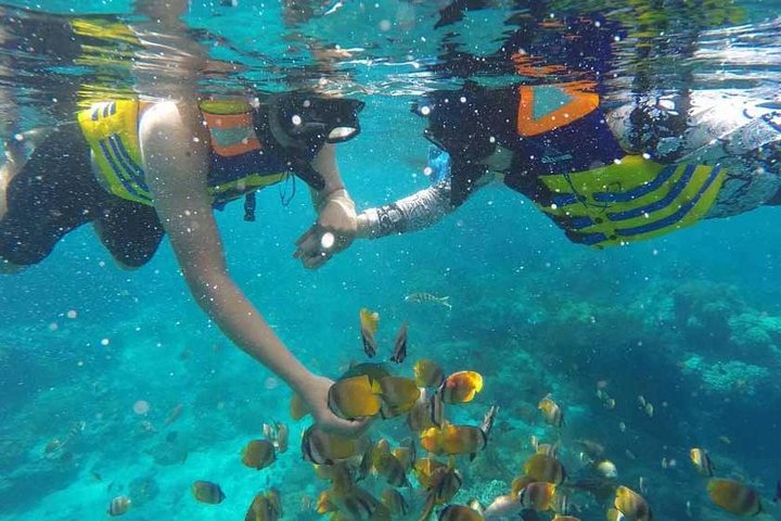 Privates Schnorchel-Abenteuer in Nusa Penida, Indonesien, mit Mantarochen, Schildkröten und atemberaubenden Stränden, Foto 14 | wizardtrip