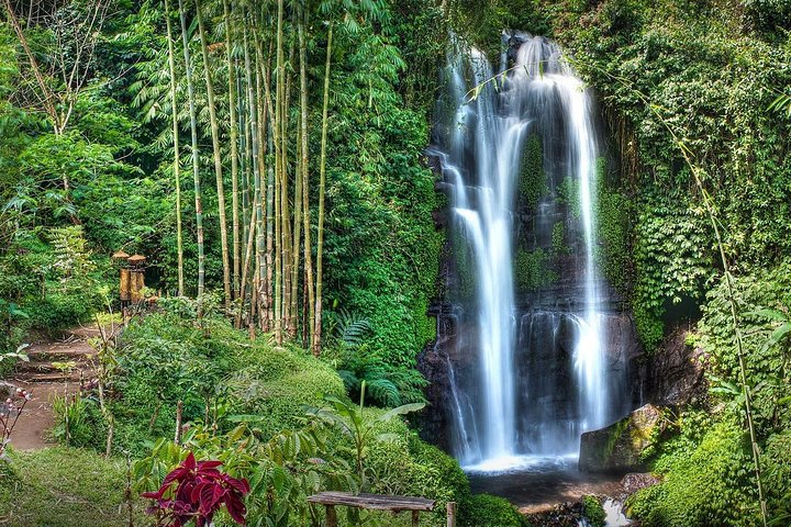 Utforska Balis fantastiska vattenfall på en privat, all-inclusive-tur med naturliga pooler och frodiga landskap, foto 10 | wizardtrip