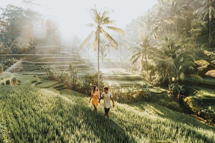 Private Bali Instagram Tour mit ikonischen Tempeln, Reisterrassen und Wasserfällen, Foto 25 | wizardtrip