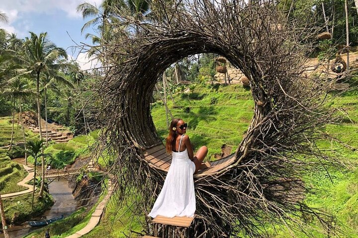 Private Bali Instagram Tour mit ikonischen Tempeln, Reisterrassen und Wasserfällen, Foto 28 | wizardtrip