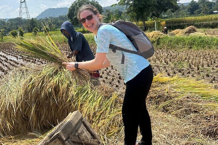 Ontdek de natuurlijke wonderen van Indonesië: een actieve vulkaan, weelderige plantages en ontspannende hete bronnen nabij Jakarta, foto 9 | wizardtrip
