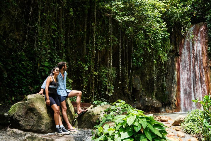 Scopri la bellezza naturale di St. Lucia con bagni di fango, cascate e viste sui Pitons, foto 9 | wizardtrip