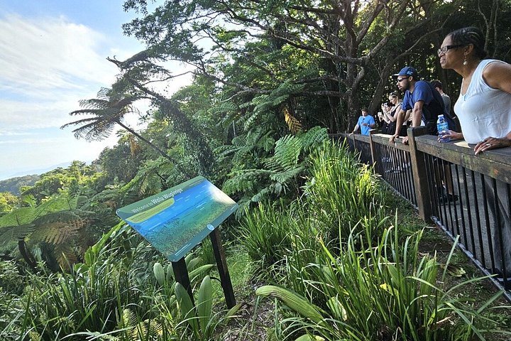 Excursión de un día a Cape Tribulation, Mossman Gorge y la selva de Daintree | wizardtrip