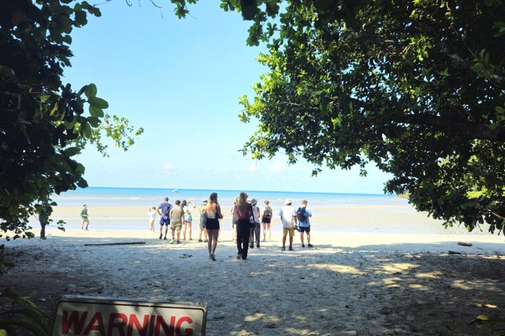 Excursão para pequenos grupos explorando a Floresta Tropical de Daintree, Mossman Gorge e Cape Tribulation a partir de Cairns, foto 6 | wizardtrip